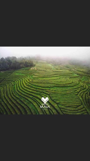 Maia  Casa Da Calheta 빌라 외부 사진